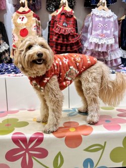 画像7: ネイティブ柄モコモコボアタンク(オレンジ)・２号