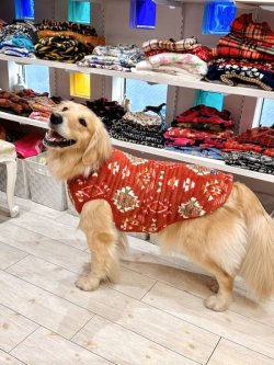 画像10: ネイティブ柄モコモコボアタンク(オレンジ)・２号