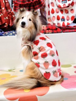 画像2: いちご柄マイクロフランネルタンク(ピンク)・０号