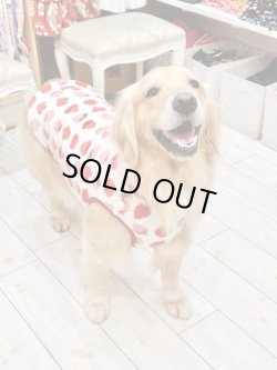 画像8: いちご柄マイクロフランネルタンク(ホワイト)・５号