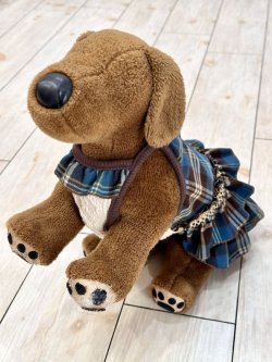 画像11: ブルータータン☆ガーリーワンピ・９号