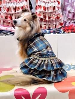 画像2: ブルータータン☆ガーリーワンピ・９号