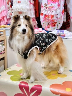 画像4: プチモード☆ノアールタンク・０号