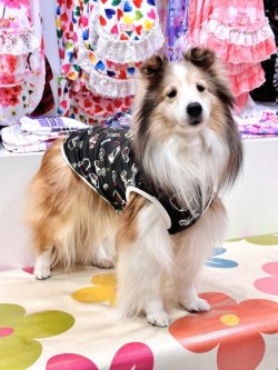 画像3: プチモード☆ノアールタンク・０号