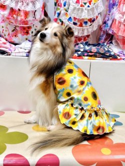 画像6: ツーウェイ☆ひまわり柄フェミニンワンピ・５号