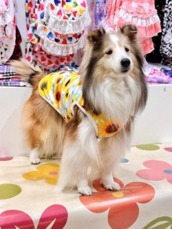 画像3: ツーウェイ☆ひまわり柄タンク・１号