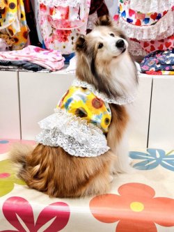 画像5: ツーウェイ☆ひまわり柄ビスチェ・７号