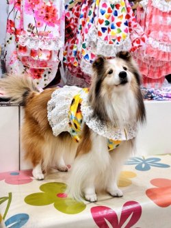 画像3: ツーウェイ☆ひまわり柄ビスチェ・７号