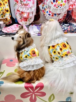 画像6: ツーウェイ☆ひまわり柄ビスチェ・７号