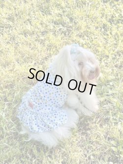 画像9: ツーウェイ☆キャンディドット柄ワンピ（ブルー）・５号