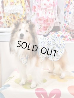 画像3: ツーウェイ☆キャンディドット柄ワンピ（ブルー）・５号