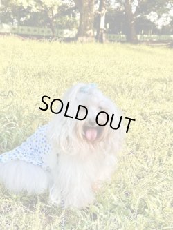 画像8: ツーウェイ☆キャンディドット柄ワンピ（ブルー）・５号