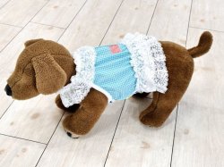 画像9: ミントグリーンチェック柄ガーリービスチェ・５号