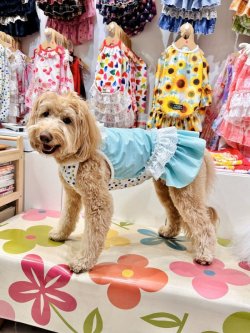 画像5: ミントグリーンチェック柄ガーリーワンピ・１０号