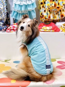 画像3: ミントグリーンチェック柄タンク・２号