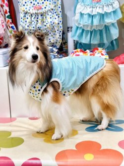 画像2: ミントグリーンチェック柄タンク・２号