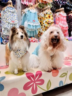 画像9: ミントグリーンチェック柄タンク・２号