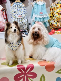 画像8: ミントグリーンチェック柄タンク・２号