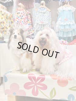 画像5: ベイビーピンクドット柄ビスチェ・９号