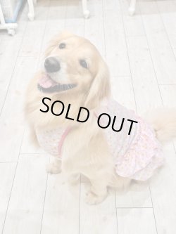 画像8: ベイビーピンクドット柄ワンピ・３号