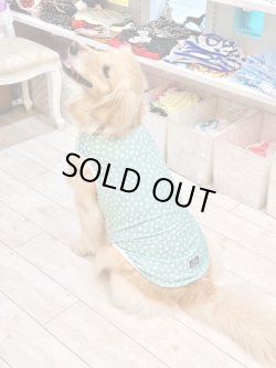 画像3: 小花柄グリーンリップルタンク・８号