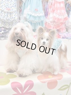 画像7: 小花柄グリーンリップルタンク・８号