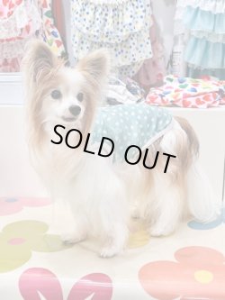 画像6: 小花柄グリーンリップルタンク・８号