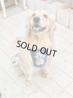 画像6: パイナップル柄キャミワンピ（ネイビー）・８号