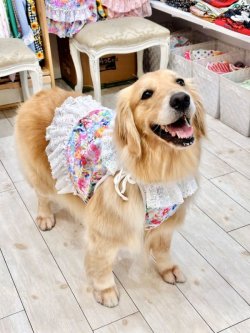 画像8: ツーウェイ☆ドリームガーデンビスチェ・６号