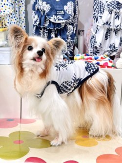 画像2: パイナップル柄タンク（ホワイト）・２号