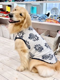 画像6: パイナップル柄タンク（ホワイト）・２号