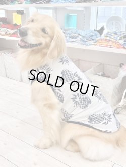 画像6: パイナップル柄タンク（ホワイト）・８号