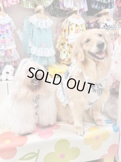 画像12: パイナップル柄ビスチェ（ホワイト）・５号