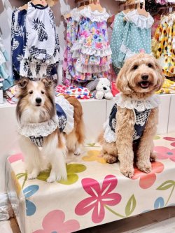 画像8: パイナップル柄ビスチェ（ネイビー）・６号