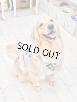 画像9: パイナップル柄ビスチェ（ホワイト）・５号