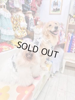 画像13: パイナップル柄ビスチェ（ホワイト）・５号