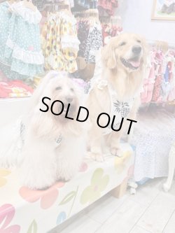 画像15: パイナップル柄ビスチェ（ホワイト）・５号