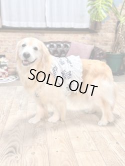 画像3: パイナップル柄ビスチェ（ホワイト）・８号