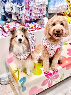 画像5: ツーウェイ☆キャンディドット柄ワンピ（ピンク）・５号