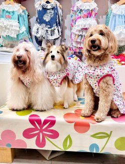 画像2: ツーウェイ☆キャンディドット柄ワンピ（ピンク）・５号