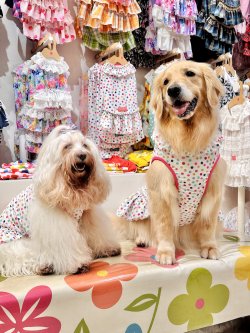 画像6: ツーウェイ☆キャンディドット柄ワンピ（ピンク）・５号