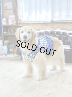 画像2: スマホ柄☆天竺ビスチェ・９号