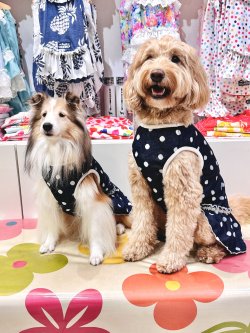 画像2: ネイビードット柄ジャガード☆フェミニンワンピ・８号