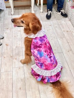 画像9: ツーウェイ☆ローズ柄ワンピ・１号