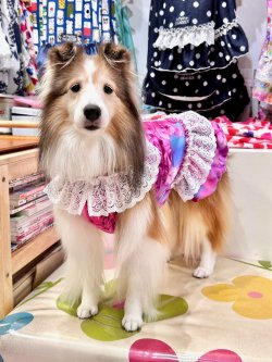 画像2: ツーウェイ☆ローズ柄ワンピ・１号