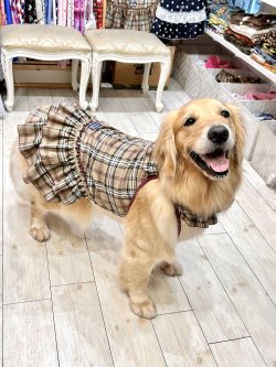 画像8: ベージュタータン☆ガーリーワンピ・７号