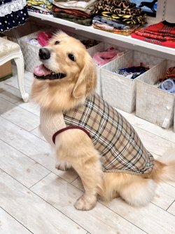 画像2: ベージュタータン☆タンク・８号