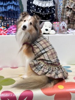 画像6: ベージュタータン☆フェミニンワンピ・１号