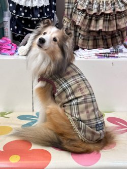 画像7: ベージュタータン☆タンク・８号