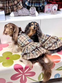 画像4: ベージュタータン☆ガーリーワンピ・７号